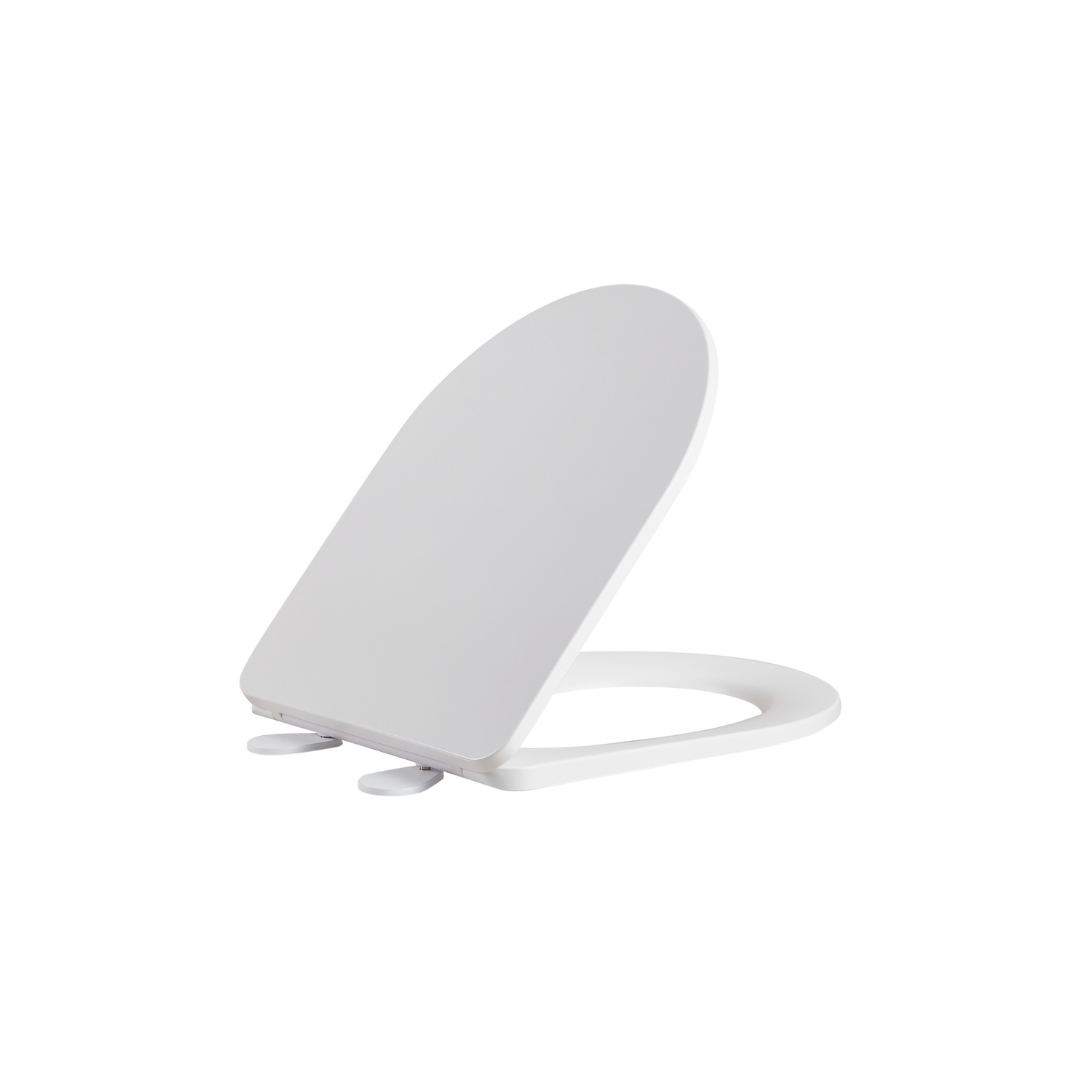 Avery Gloss White Back to Wall Toilet Suite