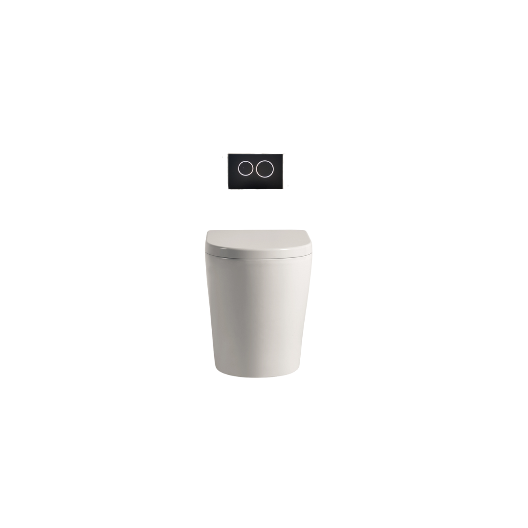 Avery Glossy White Wall Faced Toilet