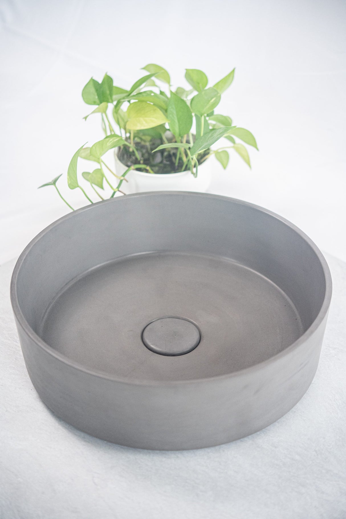 ARLO Round Concrete Basin in Grey, styled with a lush green plant for a modern and refreshing bathroom design.
