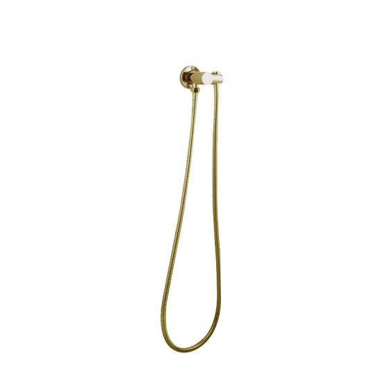 Pentro Shower Holder and Connector brushed gold