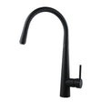 Black kitchen faucet on a white background