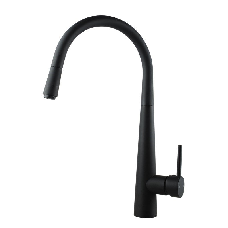 Black kitchen faucet on a white background