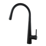 Black kitchen faucet on a white background
