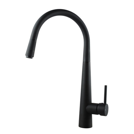 Black kitchen faucet on a white background