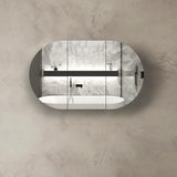 Bondi Black Oak Shaving Cabinet - 1200 x 750mm front view