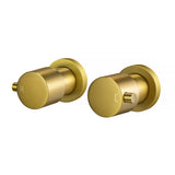 side view of two Brushed Brass Wall Tap