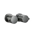 Gunmetal Wall Tap