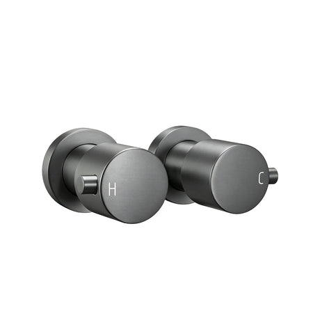 Gunmetal Wall Tap