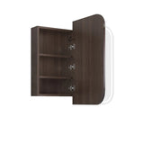 Wooden medicine cabinet with open door on a white background