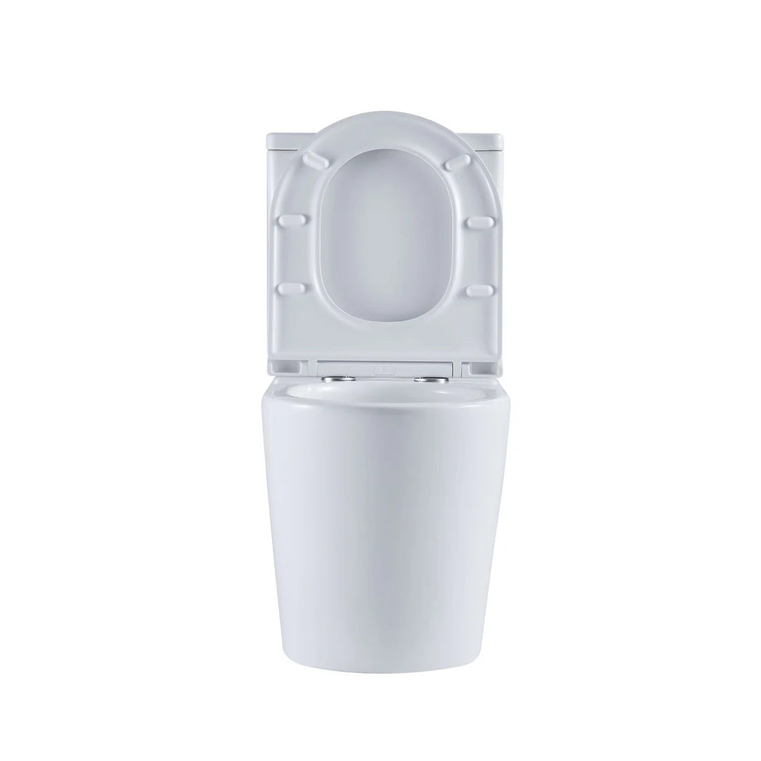 Oxford Gloss White Back To Wall Toilet